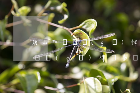 唐山市豐潤區(qū)律師事務所(唐山市豐潤區(qū)律師事務所電話)