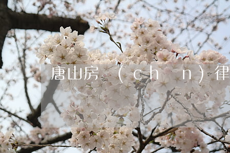唐山房產(chǎn)律師哪個好