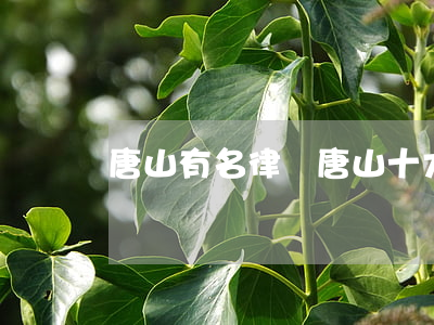 唐山有名律師(唐山十大著名律師)