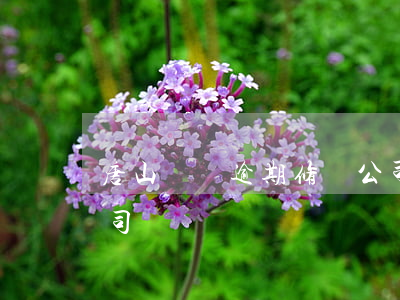 唐山網貸逾期修復公司(唐山網貸逾期修復公司)