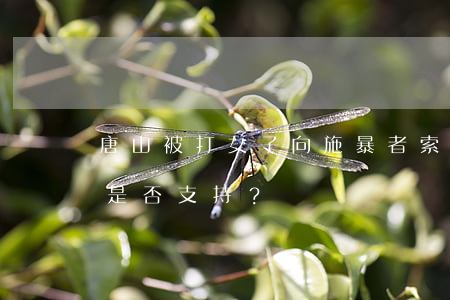 唐山被打女子向施暴者索要精神撫慰金法律是否支持？