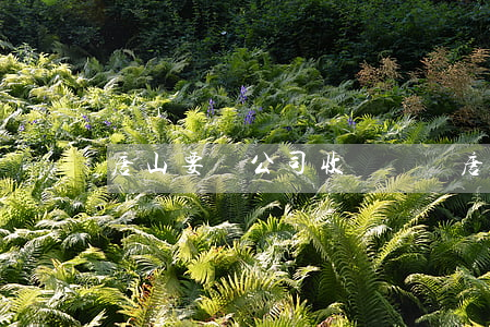 唐山要賬公司收費標準(唐山討債公司收費標準)