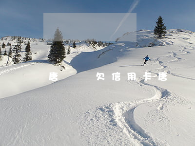 唐幫飛欠信用卡(唐幫飛欠信用卡)