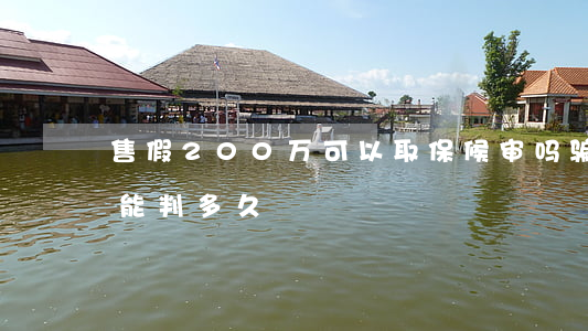 售假200万可以取保候审吗(骗保200万能判多久)