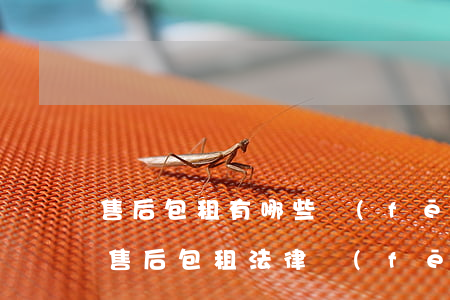 售后包租有哪些風(fēng)險（如何防范售后包租法律風(fēng)險）