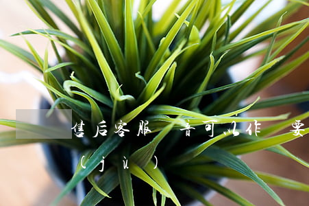售后客服錄音可以作為要求商家侵權的證據(jù)
