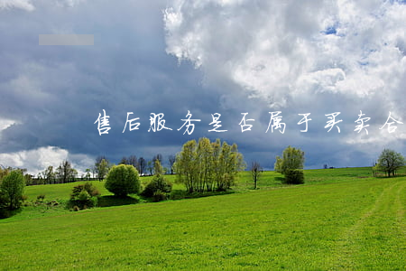 售后服务是否属于买卖合同中的一项