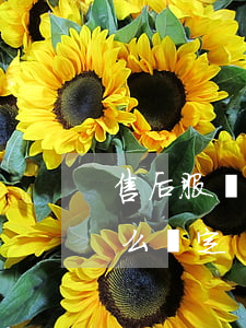售后服務(wù)違約責(zé)任條款怎么約定