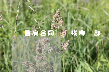 售房合同糾紛找哪個部門