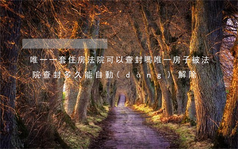 唯一一套住房法院可以查封嗎(唯一房子被法院查封多久能自動(dòng)解除)