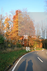 唯一一套房可以被法院強(qiáng)制執(zhí)行嗎(法院強(qiáng)制執(zhí)行只有一套房怎么辦)