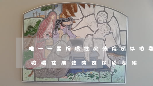 唯一一套按揭住房法院可以拍卖吗(唯一一套按揭住房法院可以拍卖吗)