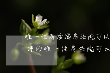 唯一住房按揭房法院可以拍卖吗(被执行人抵押的唯一住房法院可以拍卖吗)