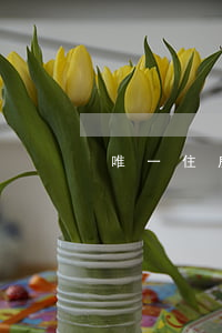 唯一住房能否執(zhí)行