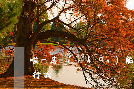 唯一房產(chǎn)能否被執(zhí)行拍賣還債