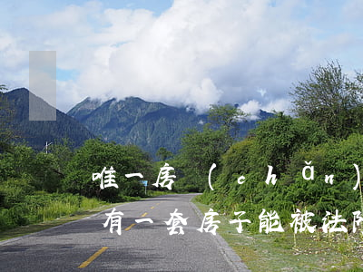 唯一房產(chǎn)被法院拍賣可以嗎(僅有一套房子能被法院拍賣嗎)