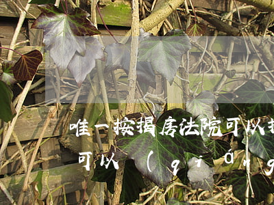 唯一按揭房法院可以拍賣嗎(唯一按揭房法院可以強(qiáng)制拍賣嗎)
