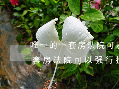 唯一的一套房法院可以强行执行吗(唯一的一套房法院可以强行执行吗)