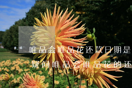 唯品会唯品花还款日期是什么时候，解答您的疑问：唯品会唯品花的还款日期是何时？