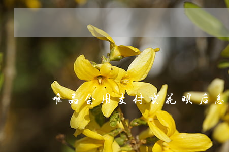 唯品会用支付宝花呗后怎么还款-