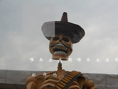唯品会逾期(唯品会逾期一年,每月还一点,会被起诉吗)