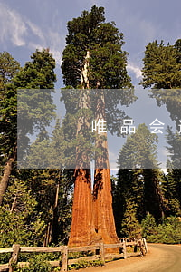 唯品会逾期收到律师函会怎样