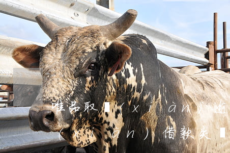 唯品取現(xiàn)逾期還款-唯品取現(xiàn)借款失敗