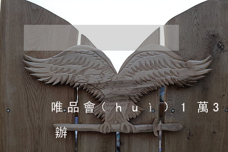 唯品會(huì)1萬3逾期(唯品逾期怎么辦)