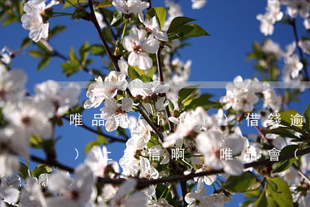唯品會(huì)借錢逾期多久會(huì)上征信啊-唯品會(huì)借錢逾期多久會(huì)上征信啊怎么辦