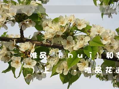 唯品會(huì)和支付寶逾期會(huì)上門嗎-唯品花逾期一個(gè)月說(shuō)要上門