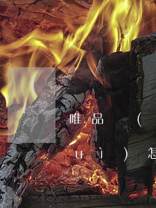唯品會(huì)如何分期免息 唯品會(huì)怎么免費(fèi)分期