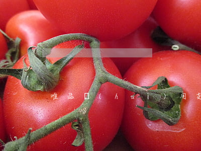 唯品會(huì)用支付寶花唄后怎么還款-