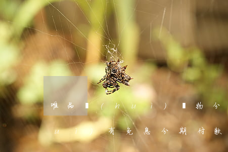 唯品會(huì)購物分期免息 唯品會(huì)有免息分期付款嗎