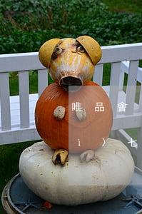 唯品會(huì)逾期一天6(唯品會(huì)七天)