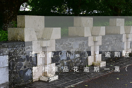 唯品會(huì)逾期被起訴會(huì)怎樣(唯品花逾期一萬(wàn),唯品會(huì)說(shuō)要起訴我了)