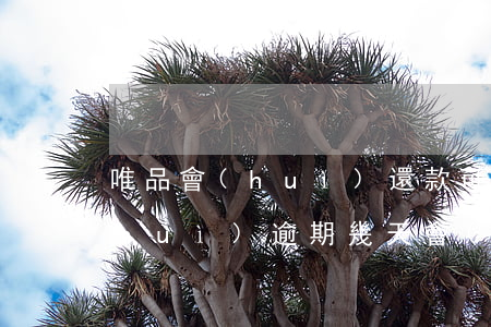 唯品會(huì)還款可逾期幾天(唯品會(huì)逾期幾天會(huì)要求一次性結(jié)清所有款項(xiàng))
