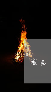 唯品會(huì)還款逾期120天