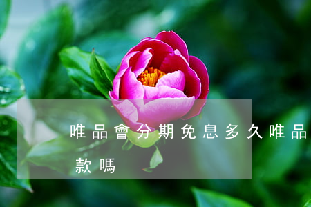 唯品會分期免息多久(唯品會可以免息分期還款嗎)