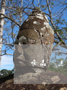 唯品會怎么分期免息(唯品會如何分期免息)