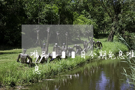 唯品會會員日分期免息（唯品會會員日分期免息）