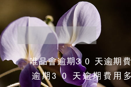 唯品會逾期30天逾期費用多少錢-唯品會逾期30天逾期費用多少錢啊