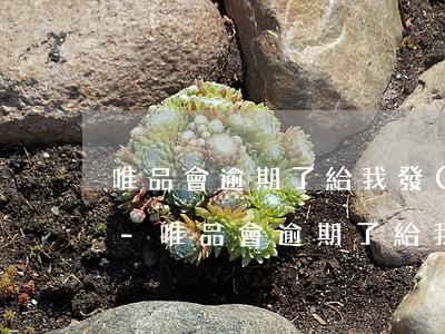 唯品會逾期了給我發(fā)什么司法仲裁-唯品會逾期了給我發(fā)什么司法仲裁信息