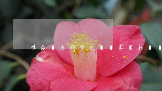唯品會逾期多久會給家里打電話-