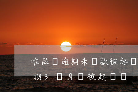 唯品會逾期未還款被起訴(唯品會欠款2萬,逾期3個月,會被起訴嗎)