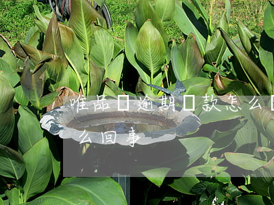 唯品會逾期還款怎么辦(唯品會還款還不了怎么回事)