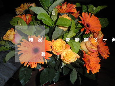 唯品會還款逾期了一天(唯品會可以延遲幾天還款)