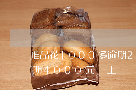 唯品花1000多逾期220天-唯品花逾期4000元會上門嗎