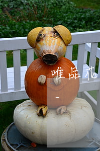 唯品花1萬6逾期兩年會(huì)坐牢嗎-