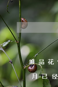 唯品花信用卡逾期能开吗(唯品花逾期了半个月已经还了,过后还可以用唯品花吗)