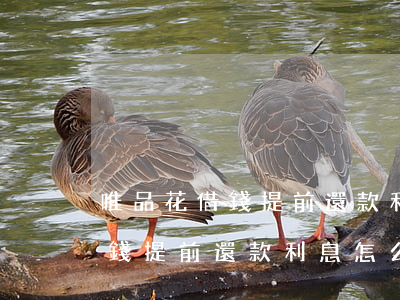唯品花借錢提前還款利息怎么算-唯品花借錢提前還款利息怎么算的
